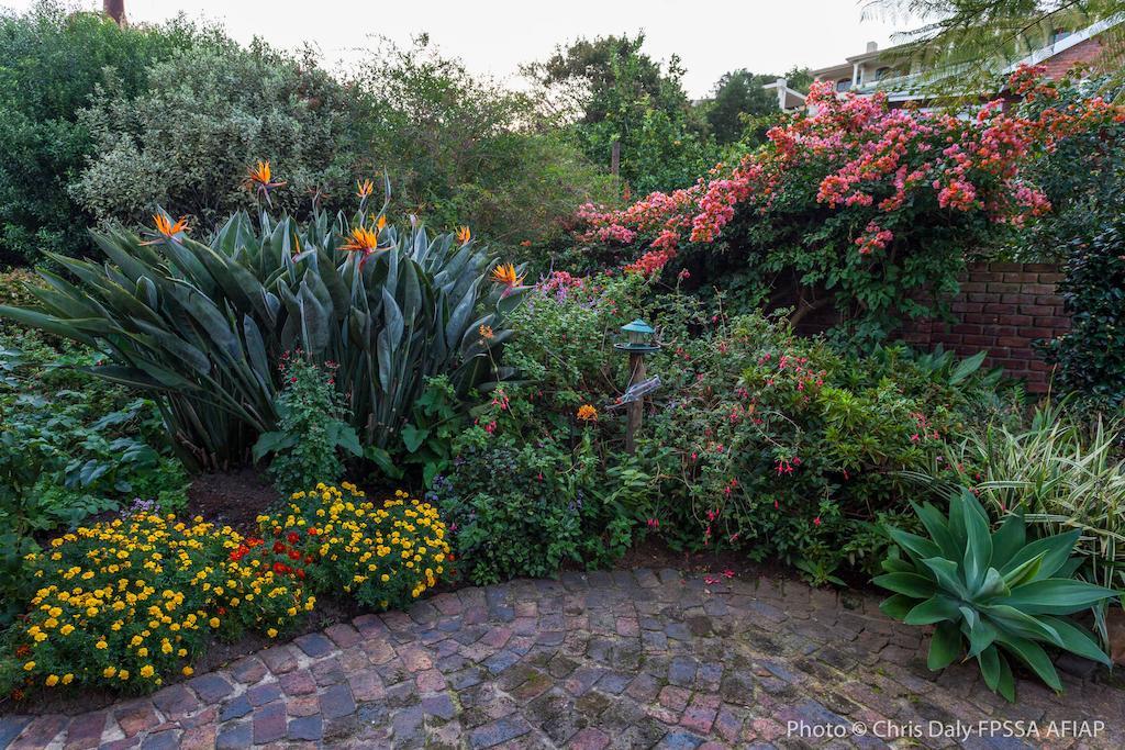 Paradise Found Knysna Ngoại thất bức ảnh