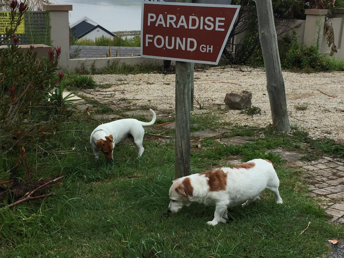 Paradise Found Knysna Ngoại thất bức ảnh
